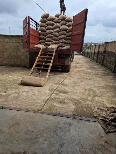 1732b57f-2352-488e-97d6-3e0fcfaf0c83