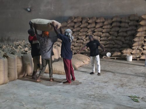 3102ca83-f8a6-4ed1-a12c-b7be5adc1e7b