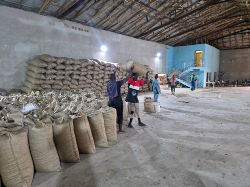 7751dfae-6f27-49e6-9547-118c3938edfc