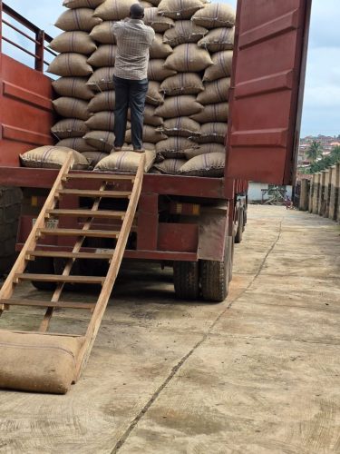 a663415c-8fc3-4a5f-95aa-8335390d2bf8