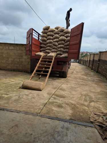 b93bc73c-6fe6-4b54-a2da-252fa118494b