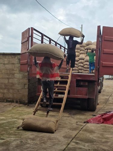 bf1a32bd-7e52-4c14-830a-4bd5ff1f4836