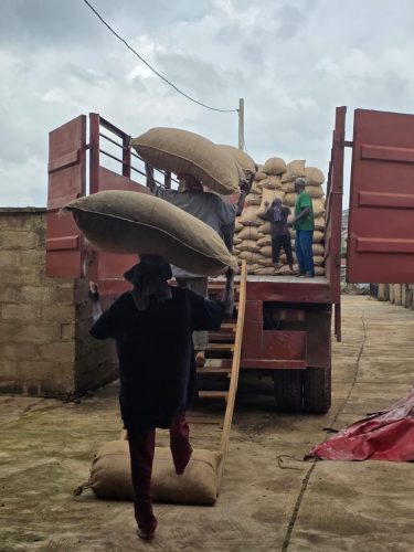 c62f53a9-11fd-4819-b86d-5316e22e454a