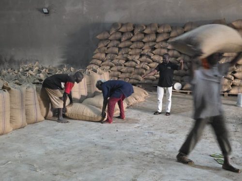 cb2ab588-edc6-4433-85c6-12f0785ac59b