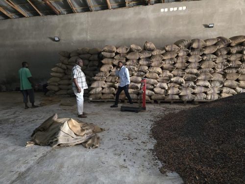 d331d7a4-1eb1-4de2-8aea-ecc0d29ad9d5