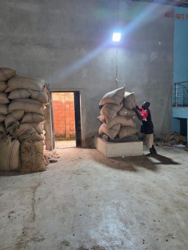 e035f09e-17da-446c-99d5-a74410e7f5f5