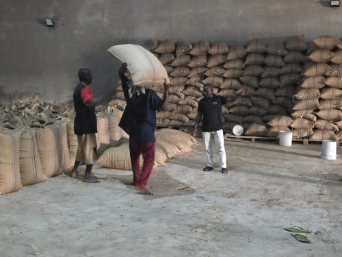 e65b5108-7b58-4ed6-9a14-195176137808