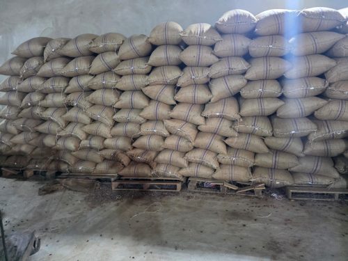 edc4b8f2-2769-46a0-9496-2b23b25ae9ad